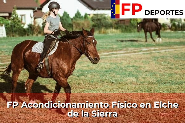 FP Acondicionamiento Físico en Elche de la Sierra
