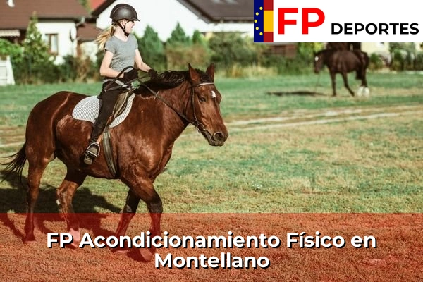 FP Acondicionamiento Físico en Montellano