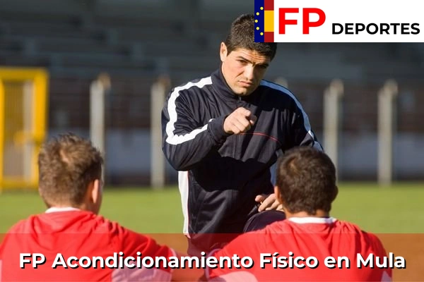 FP Acondicionamiento Físico en Mula