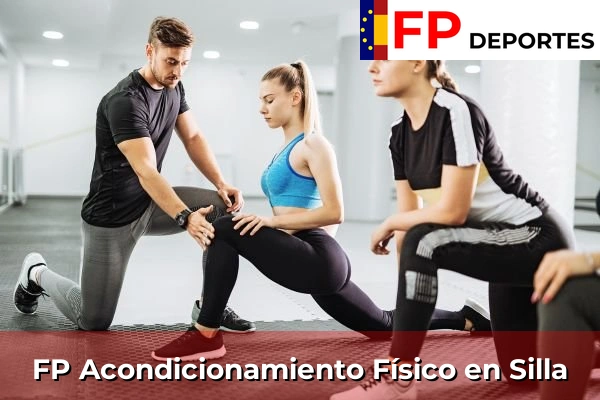FP Acondicionamiento Físico (TSAF) en Comunidad Valenciana 281 FP Acondicionamiento Físico en Silla