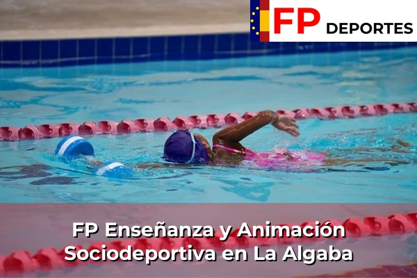FP Enseñanza y Animación Sociodeportiva (TSEAS) en La Algaba