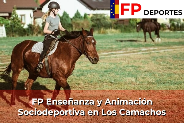 FP Enseñanza y Animación Sociodeportiva (TSEAS) en Los Camachos