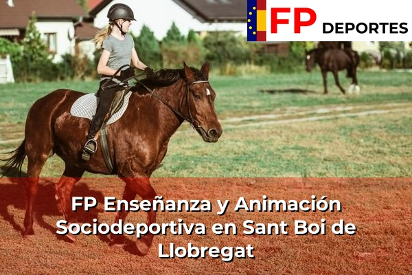 FP Enseñanza y Animación Sociodeportiva (TSEAS) en Sant Boi de Llobregat