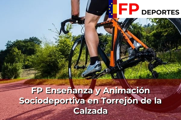 FP Enseñanza y Animación Sociodeportiva (TSEAS) en Torrejón de la Calzada